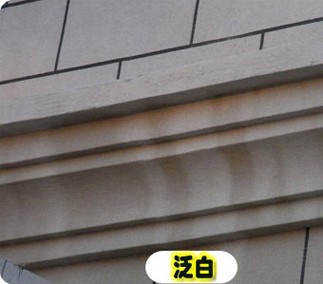 重庆水蜜桃视频在线真石漆遇水发白分析